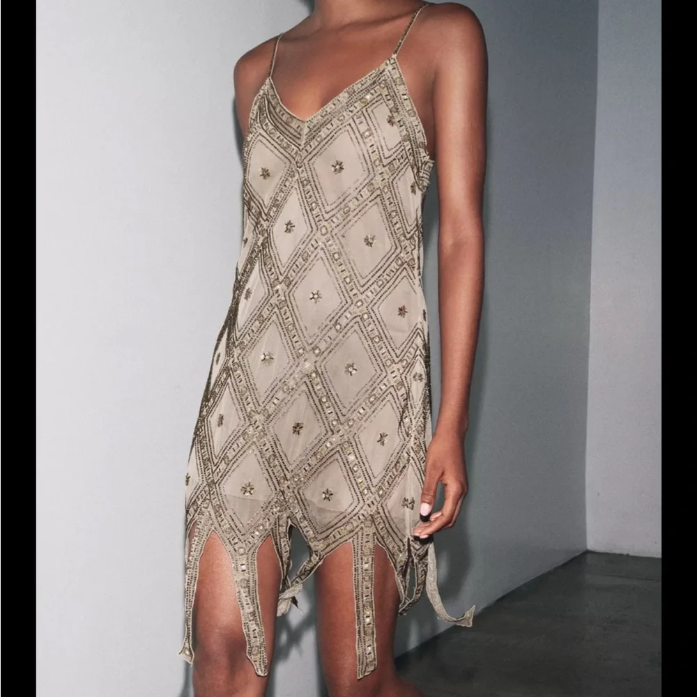 Zara limited edition EMBROIDERED TULLE Mini DRESS - Picture 3 of 15